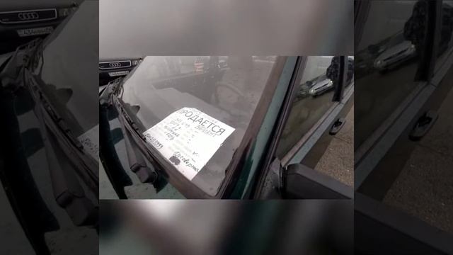 400 мыңнан жоғары көліктер Тараз 21.02.21 смотреть онлайн