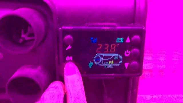 Свет для подсветки в зимней теплице. смотреть онлайн