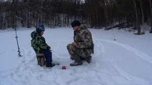 РЫБАЛКА В КАРЕЛИИ. ЗИМНЯЯ РЫБАЛКА. КАРЕЛЫЧ. ЛОВИМ ОКУНЯ С СЫНОМ