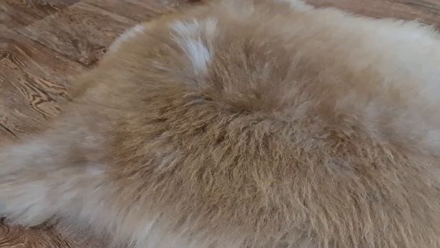 ОВЕЧЬЯ ШКУРА БЕЖЕВО-РЫЖЕГО ОКРАСА С МЯГКИМ МЕХОМ (КОД: 4643) смотреть онлайн