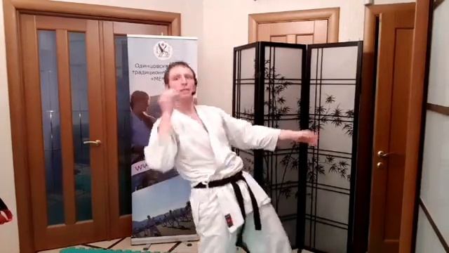 Онлайн-тренировка по традиционному карате 15 смотреть онлайн