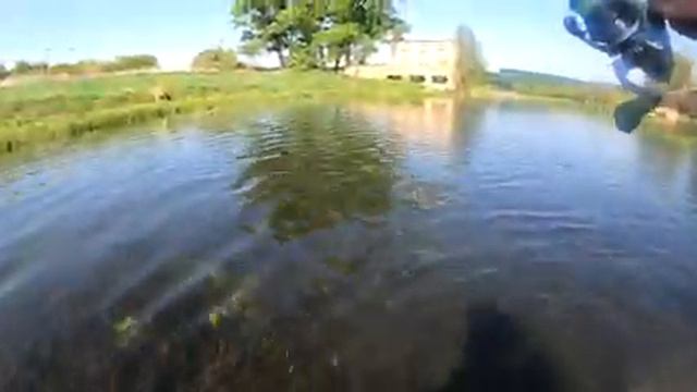 Загадка малой реки Зуша! Что же такое ложный бой #жерех))) Ловля окуня на топвотер! смотреть онлайн