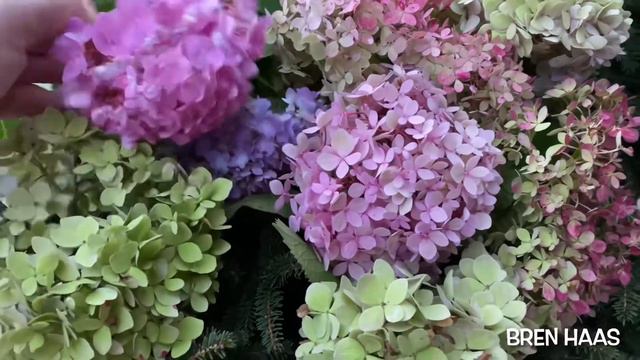 Seaside Serenade® Newport Hydrangea in Autumn смотреть онлайн