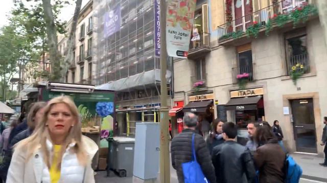 Orchids in Barcelona? Oh yes! смотреть онлайн