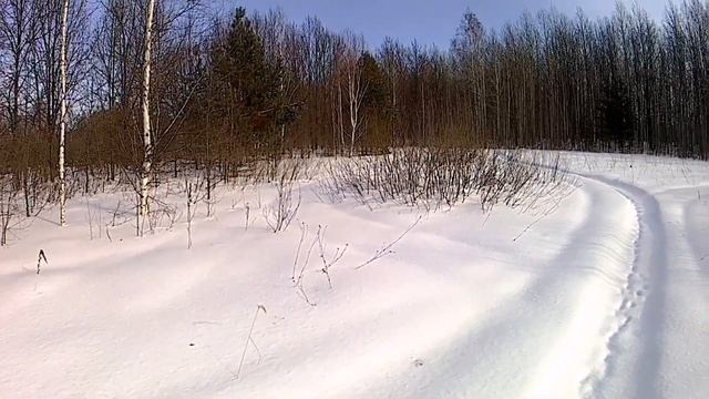 Охота на зайца беляка. смотреть онлайн