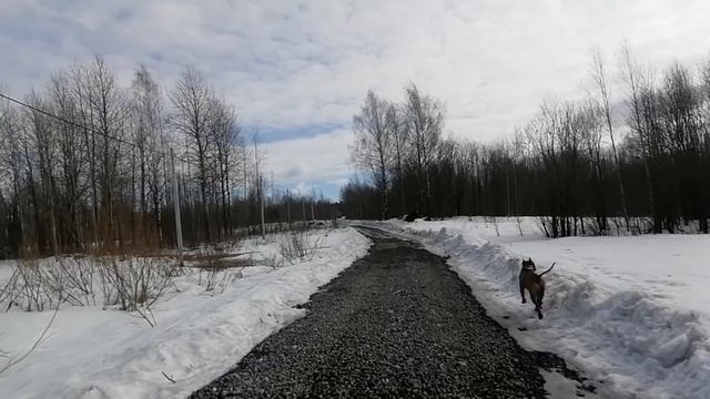 Мерседес т1 смотреть онлайн