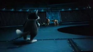 Два  хвоста