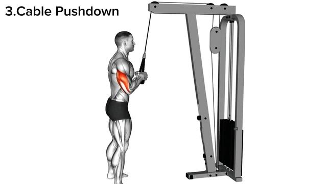 Tricep Workout With Dumbbells |  Powerfull Triceps Workout At Home Workout