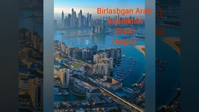 BIRLASHGAN ARAB AMIRLIKLARI DAVLATI HAQIDA MA'LUMOTLAR (BAA)  #musulmonlar #davlatlar #BAA #18