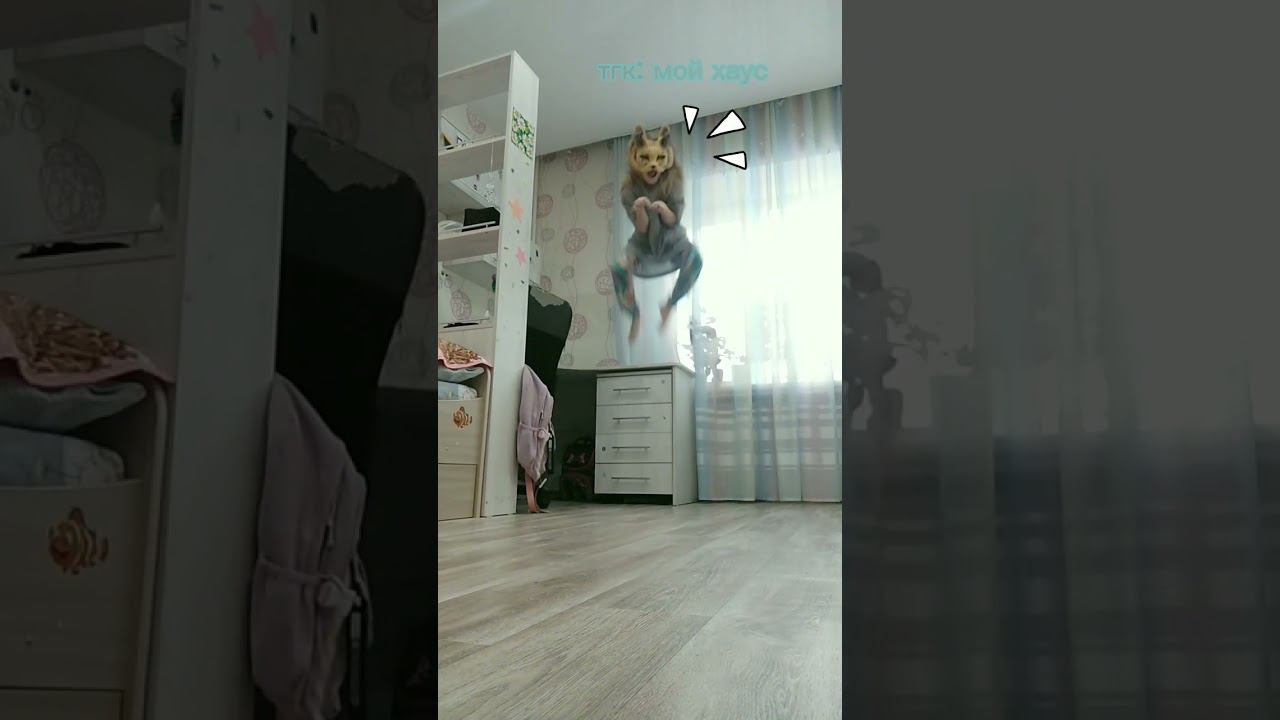 #therian #quadrobics #квадробика #кошка #испуг #териантропия #териан #сервал #квтоп #обожаю #рек смотреть онлайн