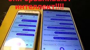 ШОК!!! Включил две Алисы!!! Они хотят уничтожить человека!!! На что способна Яндекс Алиса???!!!!!!!