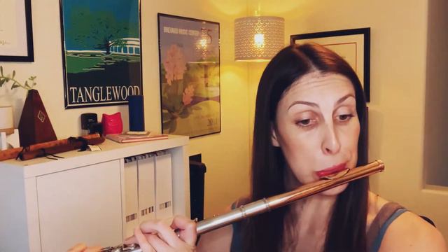 Louis Drouet - 25 Studies for the Flute: #19 смотреть онлайн