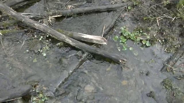 Пасха.Поход на Дикий ручей. смотреть онлайн