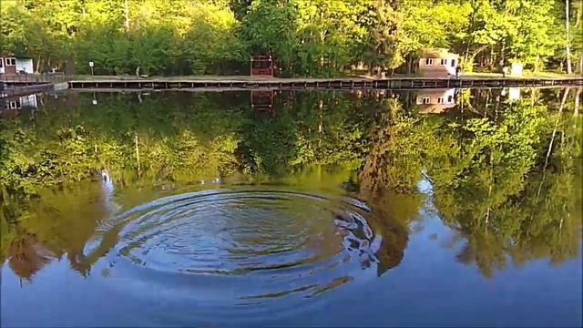 Утренний обор с нижнего водоёма. Клёвое место, Лосиный остров. смотреть онлайн