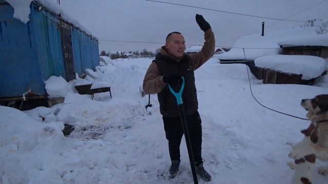 Жизнь в вагончике/пришлось это сделать. смотреть онлайн