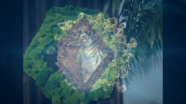 CABUCCI зеркала