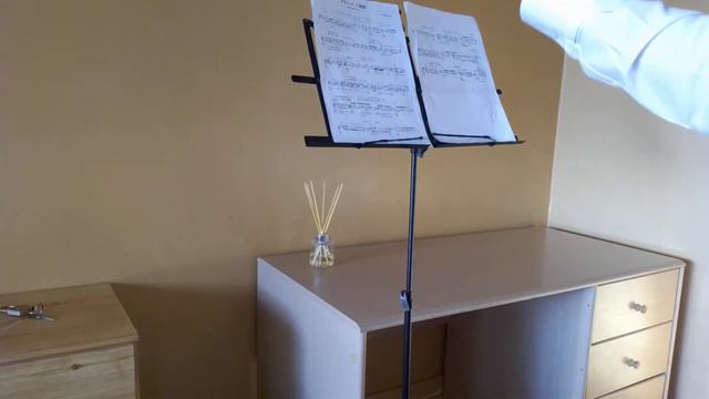 ベートーベンのメヌエットを弾いてみた（繰り返しあり版）Played Menuet In G Major By Beethoven (Full Version)
