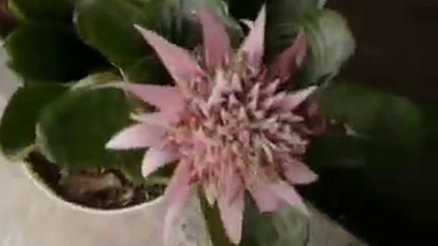 Jn Mx 2008 09 videos2 010 смотреть онлайн