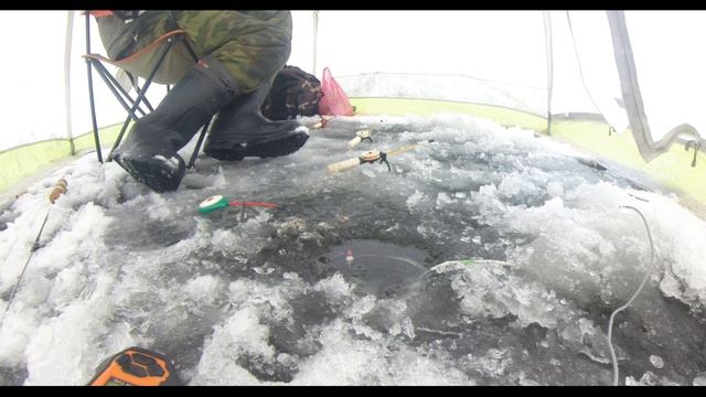 На Можайском водохранилище. Ловлю плотву. смотреть онлайн
