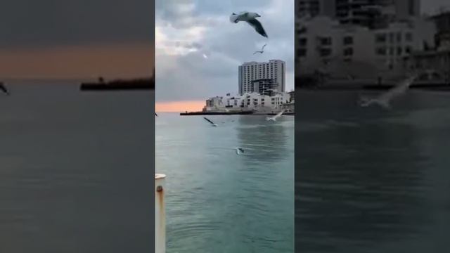 Ислам. Красивая история ❤️ смотреть онлайн