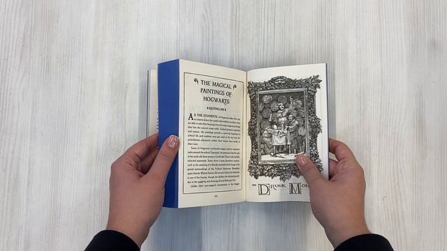 Harry Potter And The Goblet Of Fire - Ravenclaw Edition/Гарри Поттера и Кубка Огня