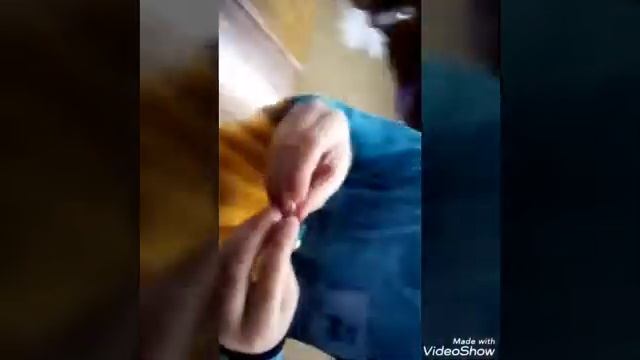 Как сделать ящерицу из пластилина??? смотреть онлайн