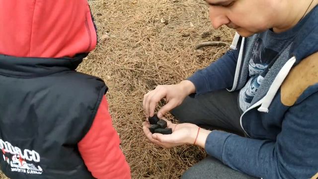 Артём просто захотел отдохнуть и погулять со своими друзьями! смотреть онлайн