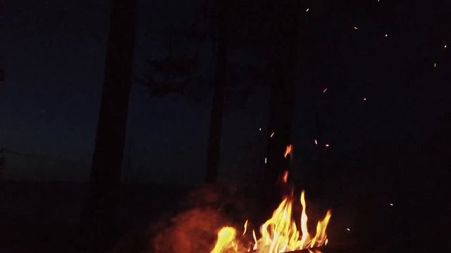 ПОход! СЛОМАЛ ПИЛУ НА БЕРЕГУ ЛАДОГИ!!! ЖЕНА В ГИПСЕ смотреть онлайн