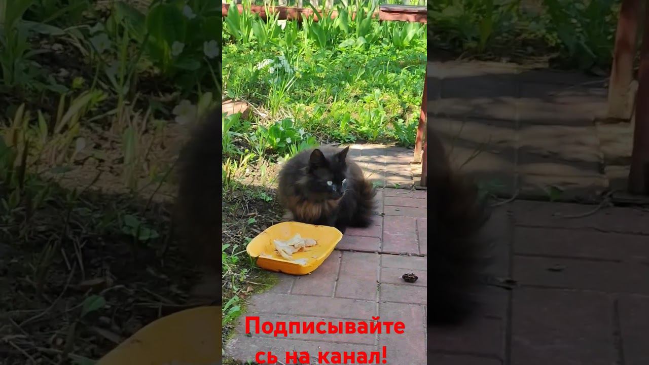 Гость. #деревня смотреть онлайн
