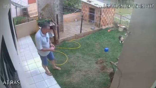 как быстро вскопать огород смотреть онлайн