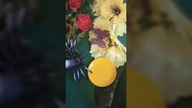 Сказка про паучка! смотреть онлайн