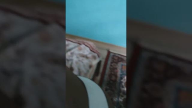 Bebekitto Sovvilo смотреть онлайн