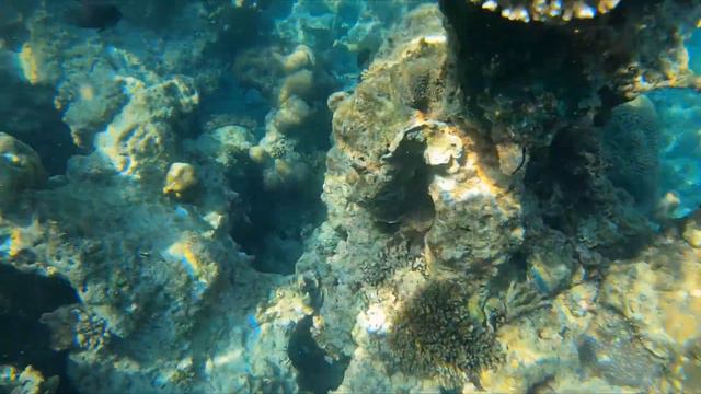 Снорклинг о. Пхукет, Тайланд 2019г. смотреть онлайн