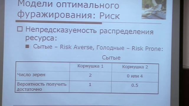 Лекция 6: Теория оптимального фуражирования и принятие решений.Курс "Нейробиология принятия решений смотреть онлайн