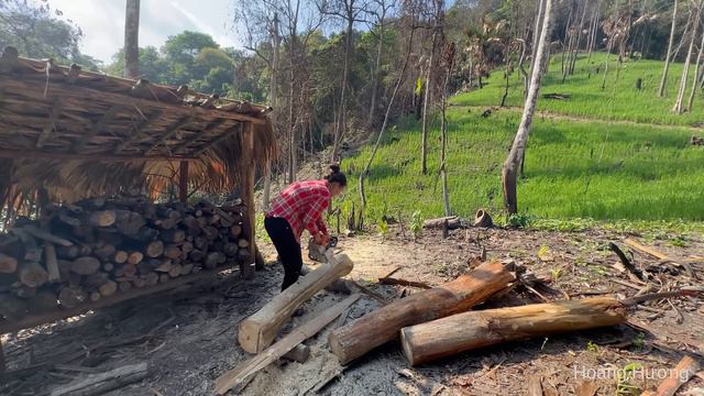 Harvesting Chicken (rooster) Goes to market sell, build kitchen retaining wall | Hoang Huong смотреть онлайн