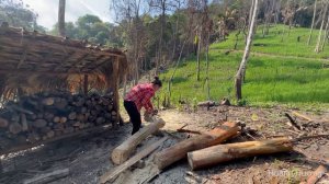 Harvesting Chicken (rooster) Goes to market sell, build kitchen retaining wall | Hoang Huong