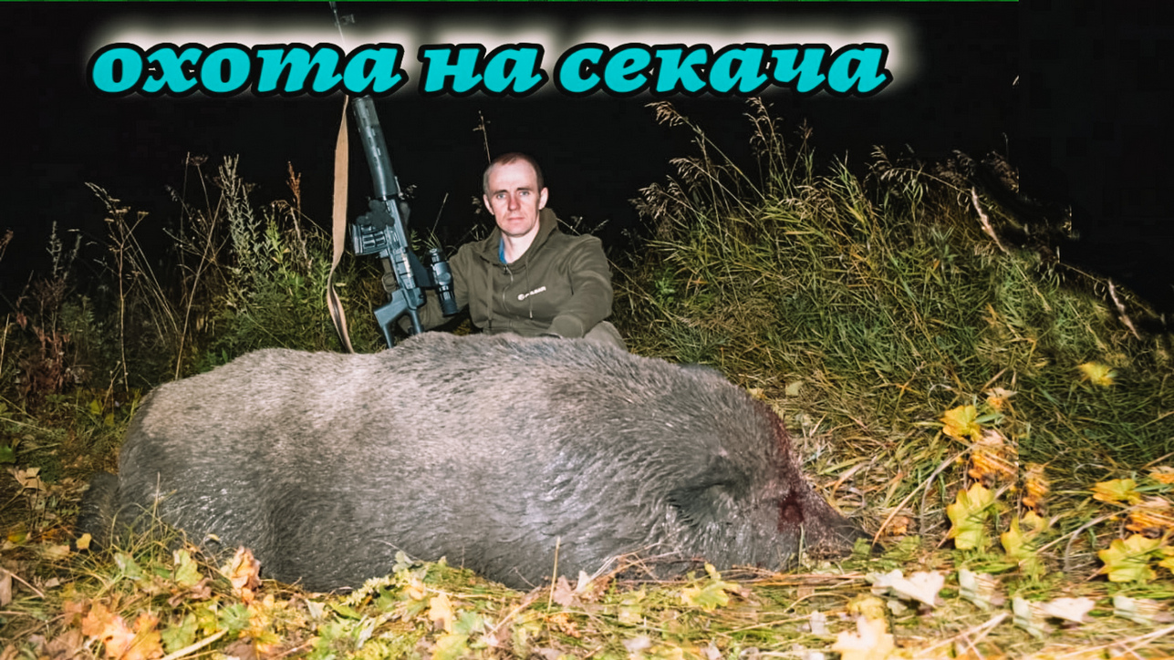 Ночная охота на кабана