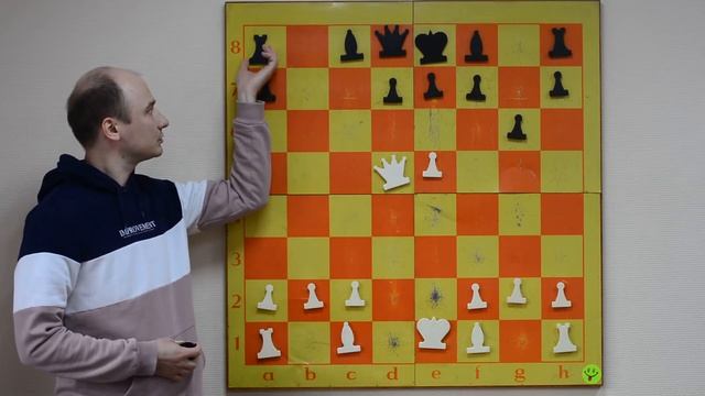 Сицилианская защита дебют в шахматах смотреть онлайн