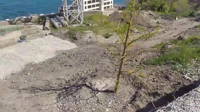 Габионы своими руками. смотреть онлайн