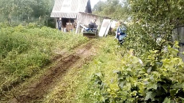 VID_20190804_142128 смотреть онлайн