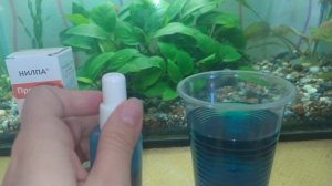 Метиленовый синий и "Протоцид" от манки у рыб (ихтиофтириоза)