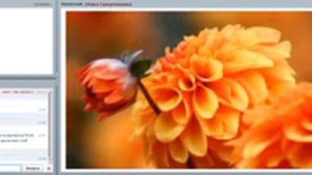 Иван купала тайны и магия вечера смотреть онлайн