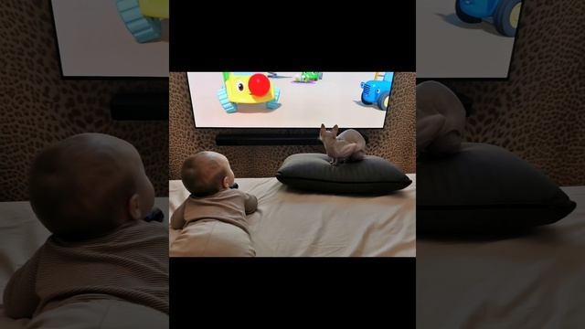 зенит &Мс Вспышкин и Никифоровна