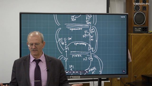 Гладилин А.К. - Биохимия - 18. Фотодыхание. С4- и САМ-пути смотреть онлайн