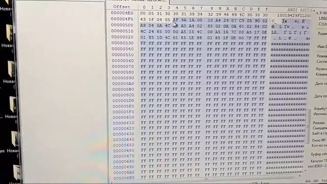 Редактирование дампа VW501, Code 01.10 — ROM ID 10A4 смотреть онлайн