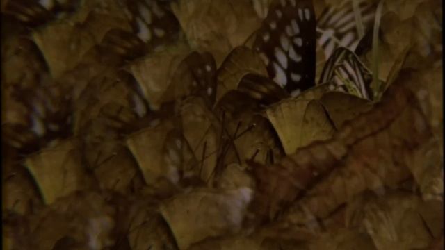 Demi Lovato - Dancing With The Devil Lyric Video смотреть онлайн