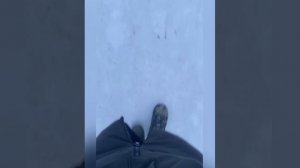 Обзор ботинок ELKLAND