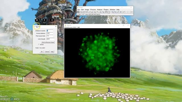ImageJ Tutorial: How to set scale for image смотреть онлайн