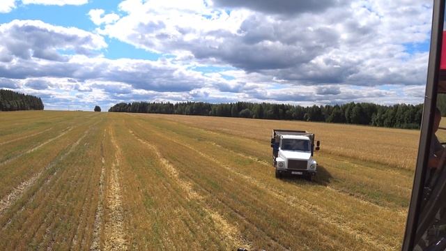 ПАЛЕССЕ GS12 КЗС-1218 уборка ячменя. смотреть онлайн