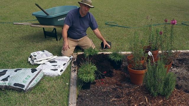 LET THE PLANTING BEGIN! смотреть онлайн